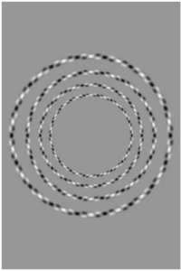 Nr12_Blickcheck_Auge-funktion-optischeTäuschung Nr12_Blickcheck_Auge-funktion-optischeTäuschung