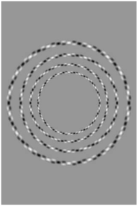 Nr12_Blickcheck_Auge-funktion-optischeTäuschung