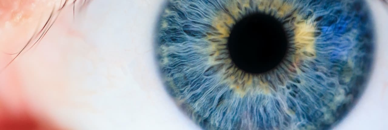 Auge-Sehtests-Untersuchungen-Perimetrie-Header-Bild