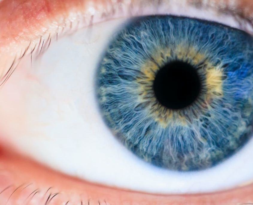 Was tun mit alten Brillen? Blickcheck